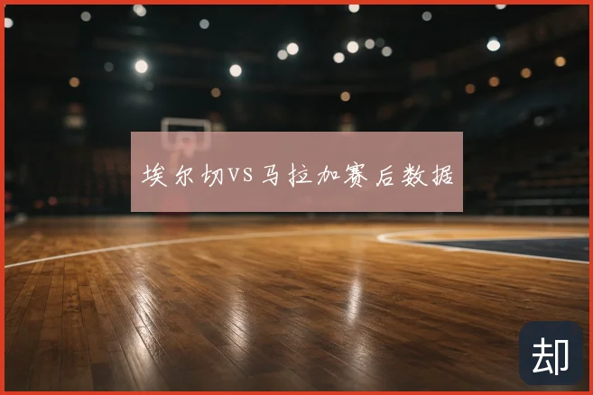 埃尔切vs马拉加赛后数据
